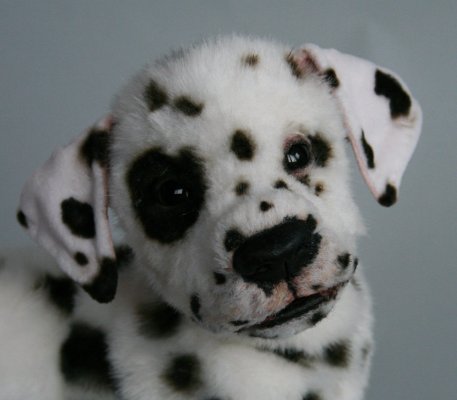 Dalmatian-1.jpg