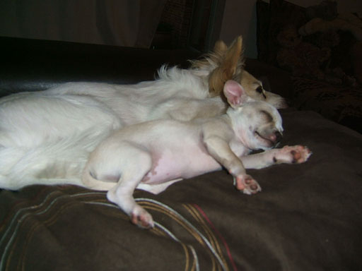 DSCF1389.jpg