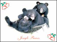Jingle_bears.jpg
