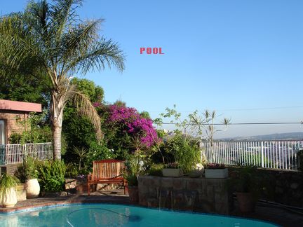 Pool.jpg