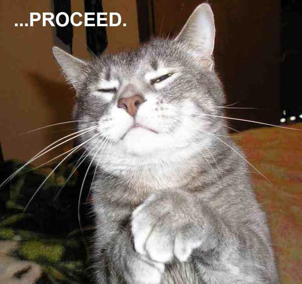 Proceed_1.jpg
