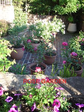 Rose_Garden.jpg