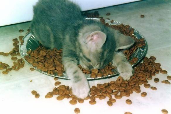 image014.jpg