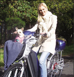sandy_bike_x.jpg
