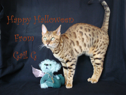 Halloween-cat2-TT.jpg