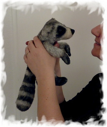 1365841985_baby_raccoon_tt3.jpg