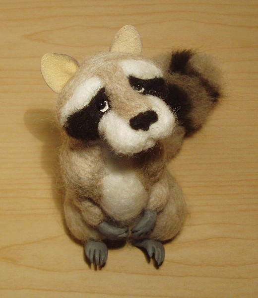 raccoon1.jpg