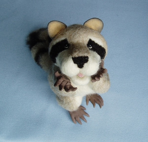 HenryCoon-7.JPG