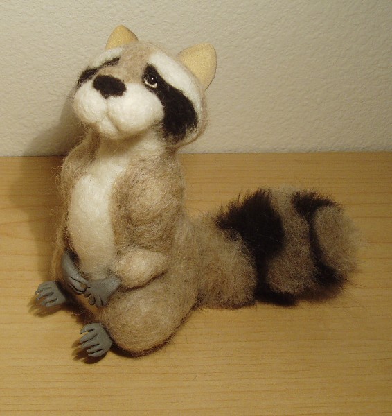 Show-Raccoon-1.JPG