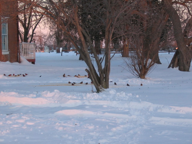 wintersnow2_011.jpg
