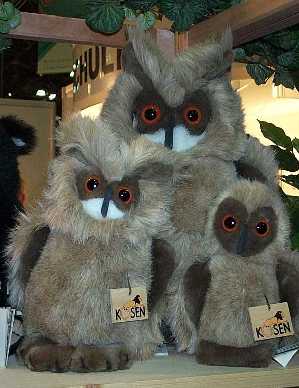 kosen-owls.jpg
