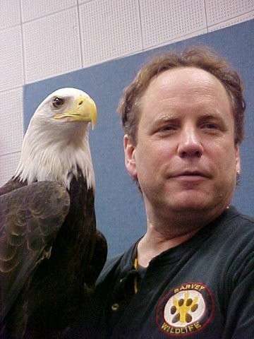 Zeagle2.jpg