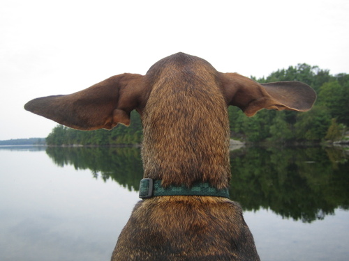 2006_135.jpg