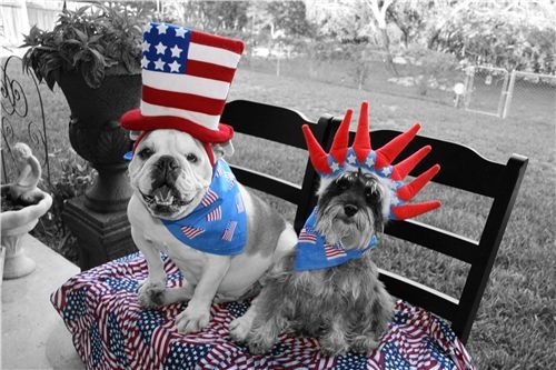 4thofjuly1.jpg