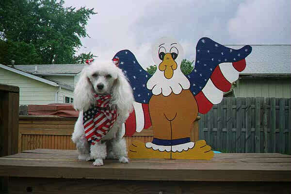 4thofjuly2.jpg