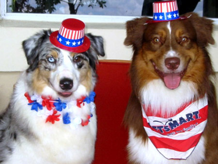4thofjuly3.jpg