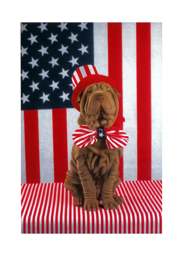 4thofjuly4.jpg