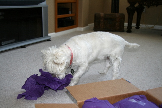 7birthday06.jpg