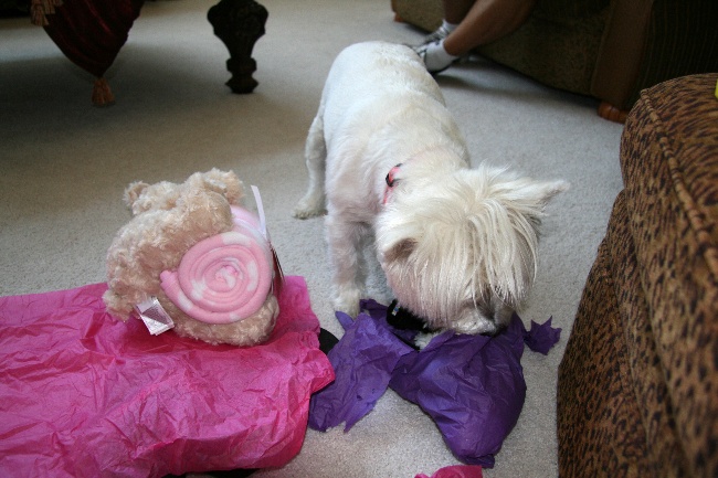 7birthday10.jpg