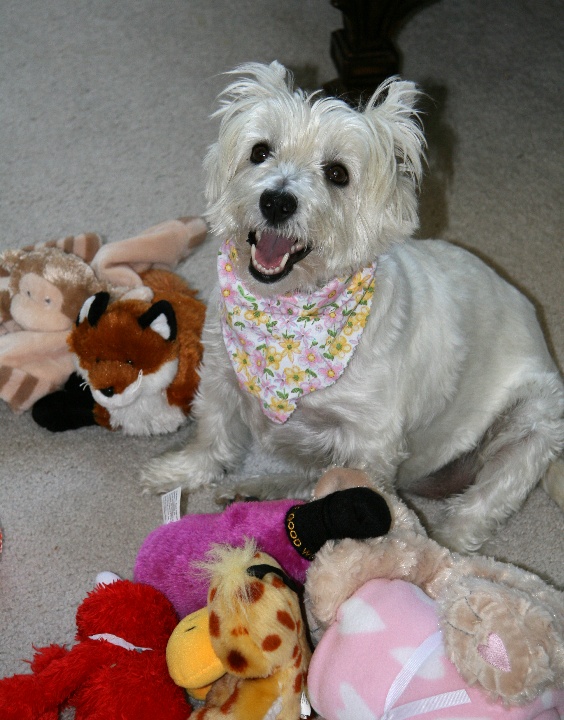 7birthday23.jpg