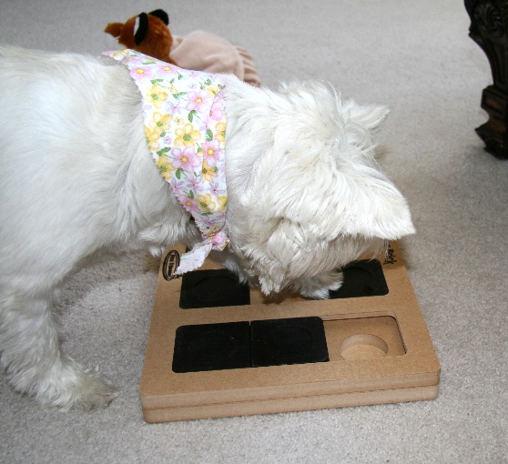 7birthday35.jpg