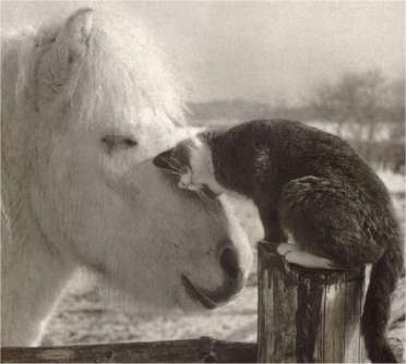 Best-Friends.jpg