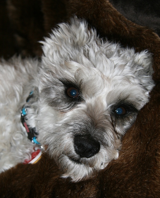 Cooperbeingsexydec2010c.jpg
