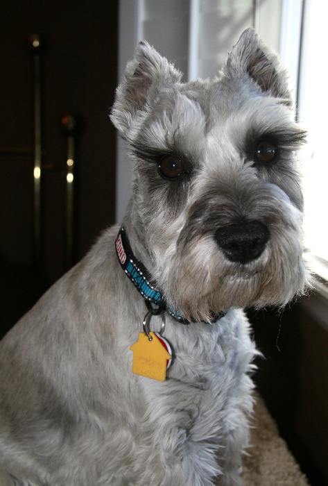 Cooperfeb202011a.jpg