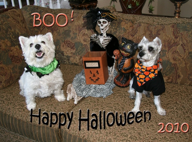 TiffCoophalloweensmall.jpg