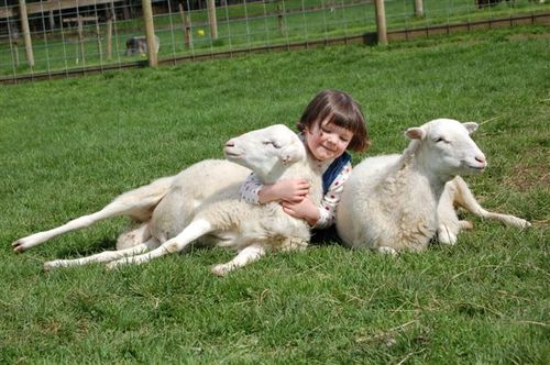 aldor_acres_spring_2006_33.jpg
