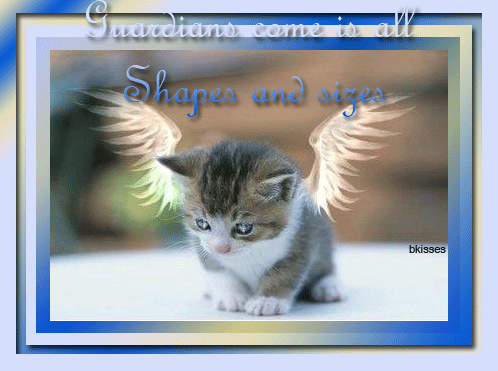 angel39.gif