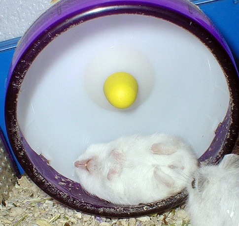 asleep_at_the_wheel2.jpg