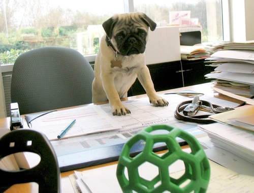 attheoffice.gif