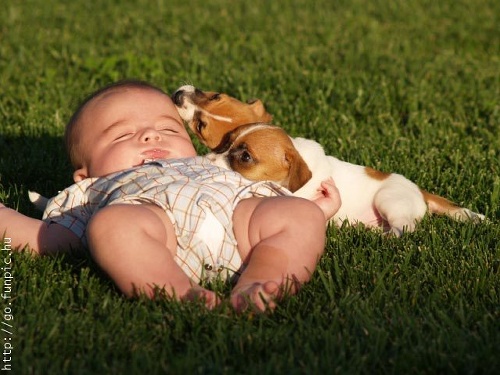 babies.jpg
