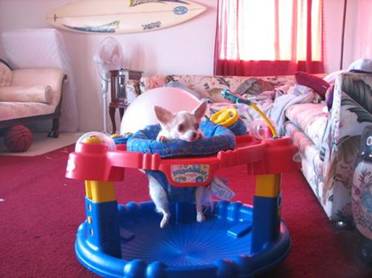 baby222.jpg