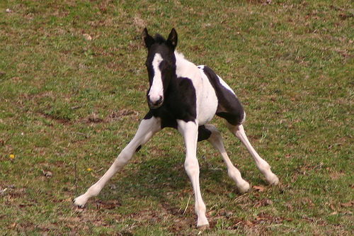 baby42.jpg