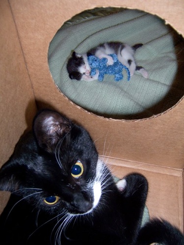 babyandsnickers.jpg