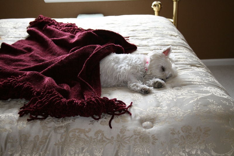 babysleeping1.jpg