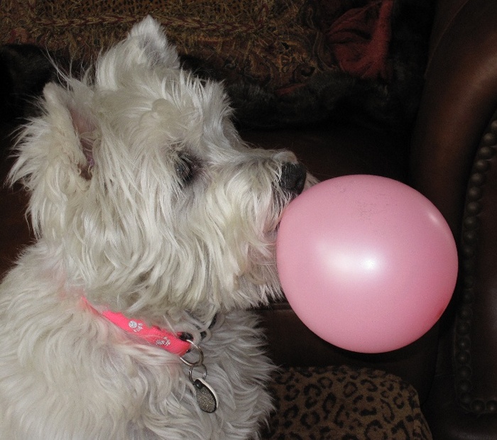 balloon4tiff.jpg
