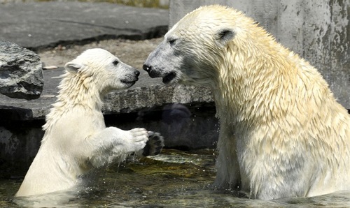 bathtime5.gif