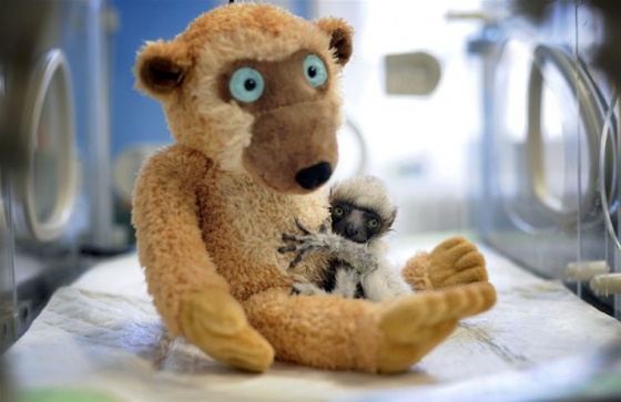 bearhug.jpg