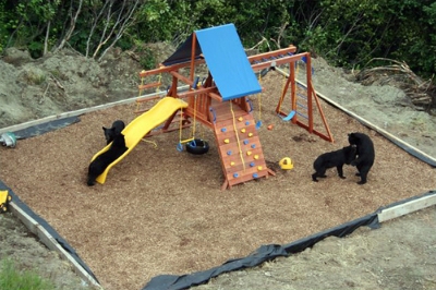 bearset3.jpg