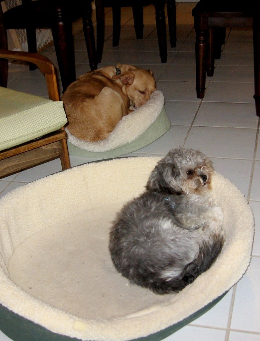 beds.jpg
