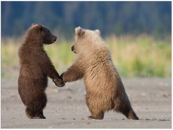bestbuds.jpg