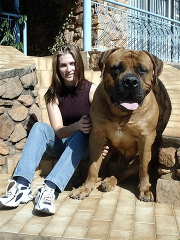bigdog7.gif