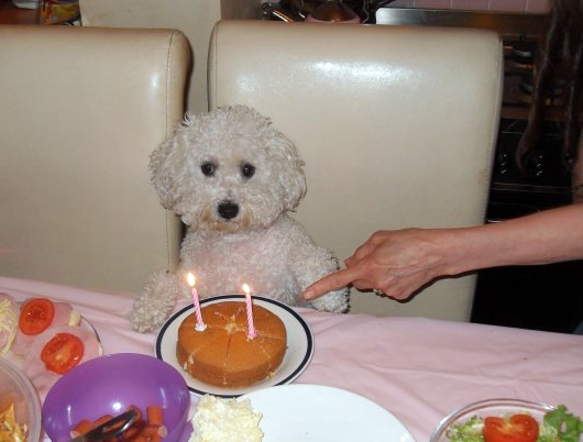 cake2.jpg
