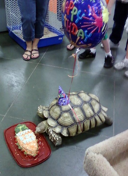 cake3.jpg