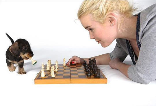 chess.jpg
