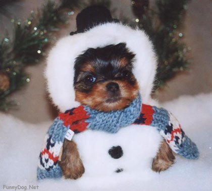christmas10.jpg