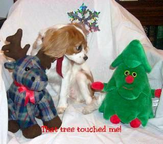 christmas2a.jpg